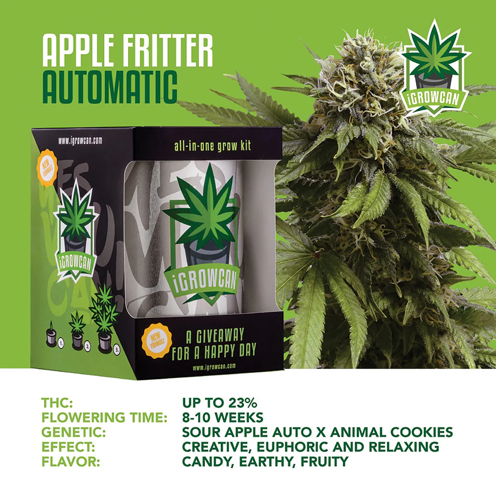 Apple Fritter Automatic iGrowCan - All in One Grow Kit - Image 3