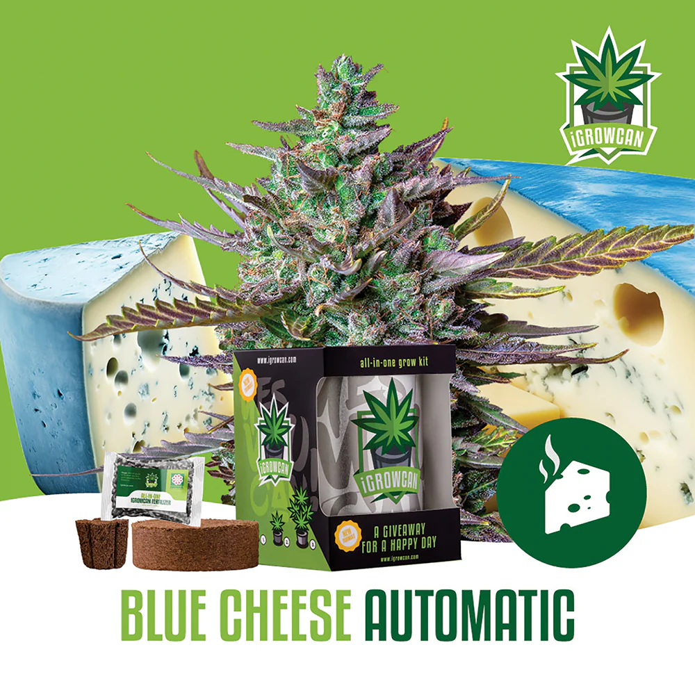 Blue Cheese Automatic iGrowCan - All in One Grow Kit