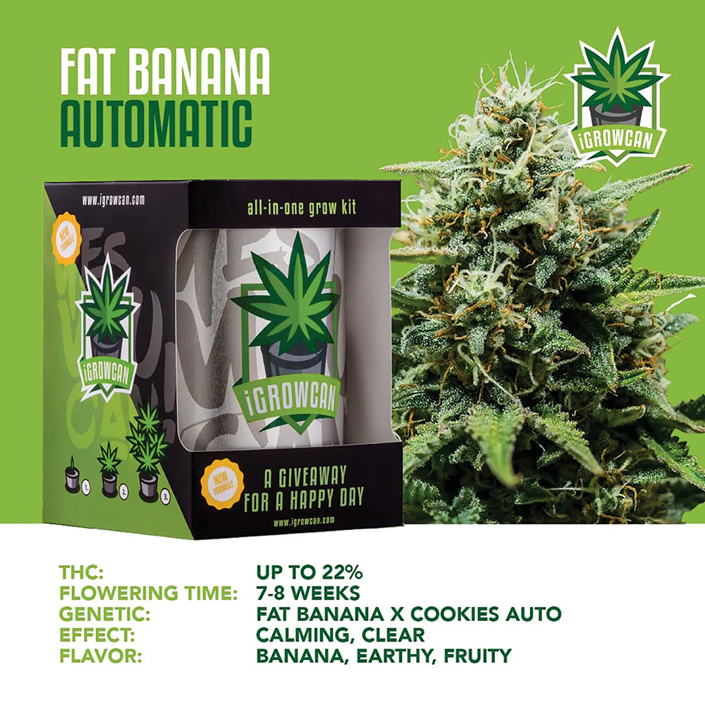 Fat Banana Automatic iGrowCan - All in One Grow Kit - Image 3