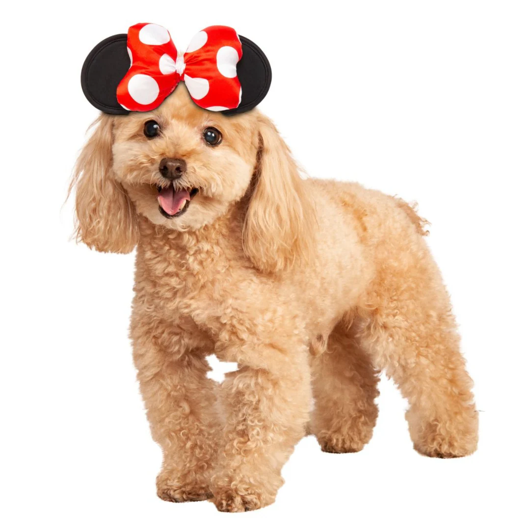 Minnie Mouse Ears