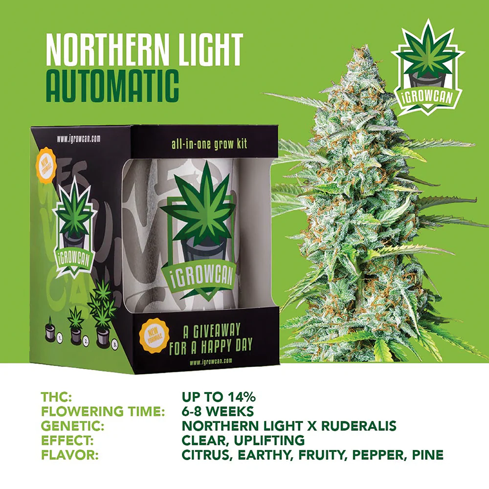 Northern Lights Automatic iGrowCan - All in One Grow Kit - Image 3