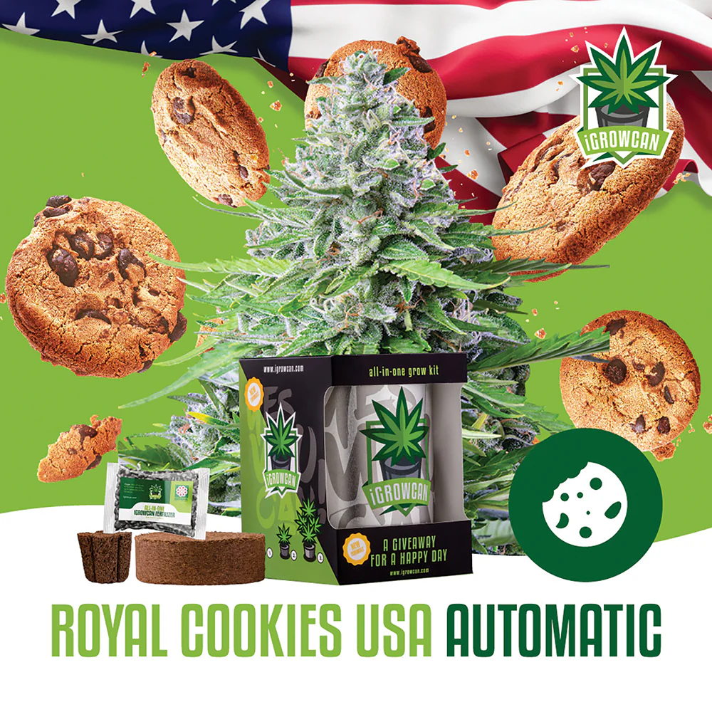 Royal Cookies Automatic iGrowCan - All in One Grow Kit