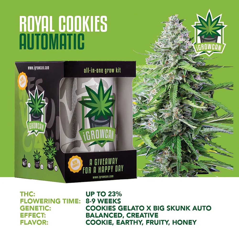 Royal Cookies Automatic iGrowCan - All in One Grow Kit - Image 3