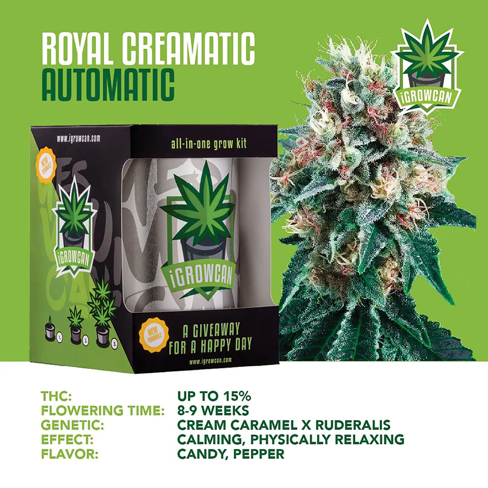 Royal Creamatic Automatic iGrowCan - All in One Grow Kit - Image 3