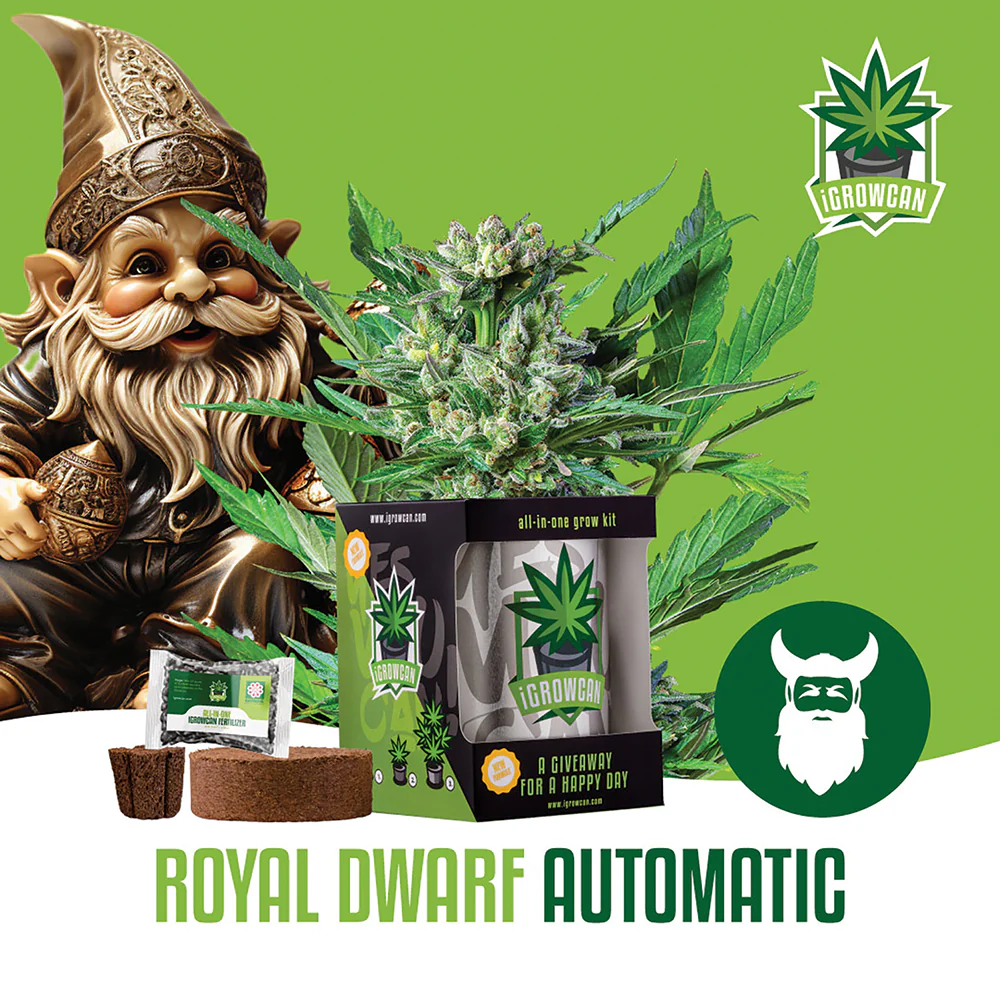 Royal Dwarf Automatic iGrowCan - All in One Grow Kit