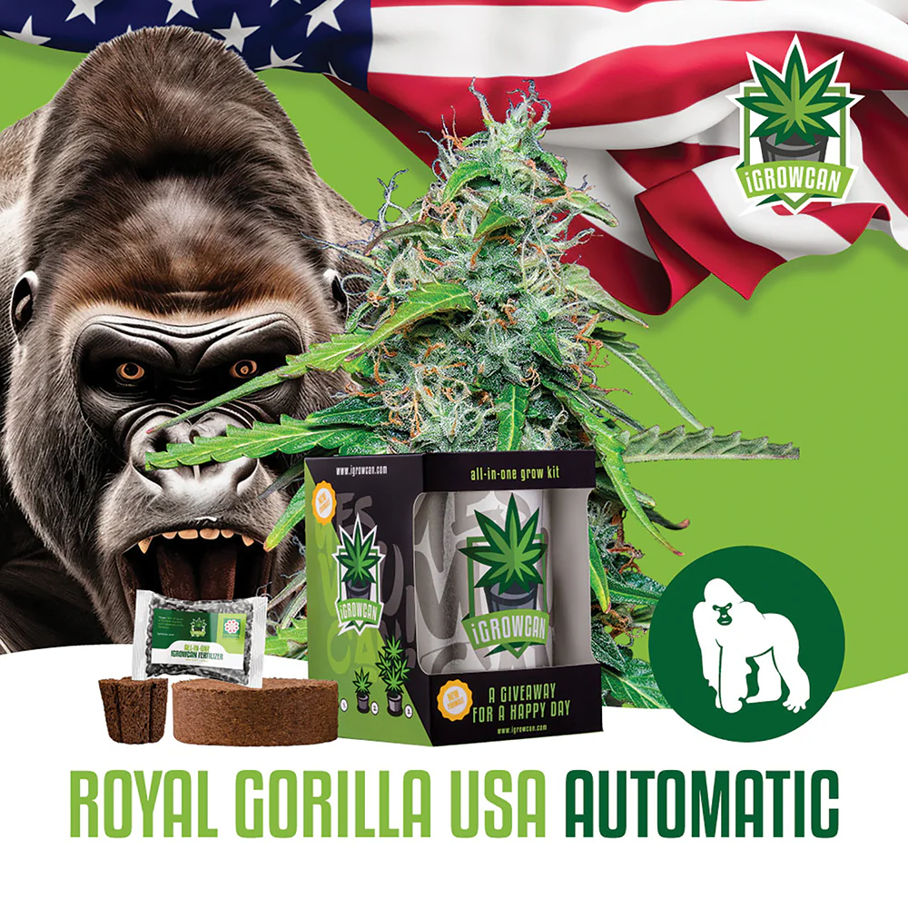 Royal Gorilla Automatic iGrowCan - All in One Grow Kit