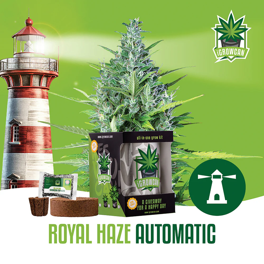 Royal Haze Automatic iGrowCan - All in One Grow Kit