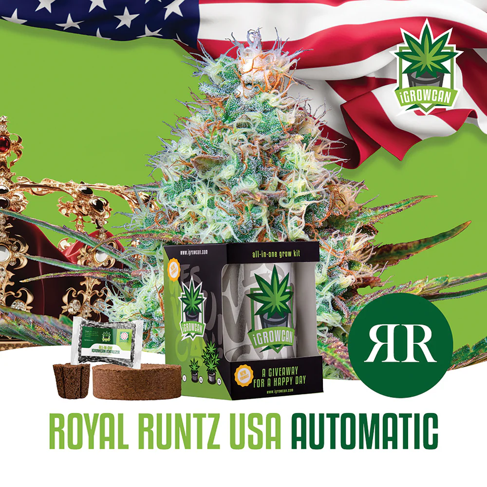 Royal Runtz Automatic iGrowCan - All in One Grow Kit