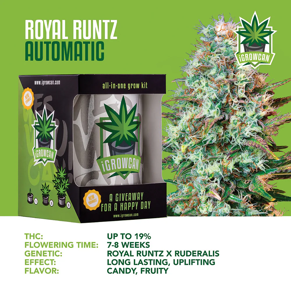 Royal Runtz Automatic iGrowCan - All in One Grow Kit - Image 3