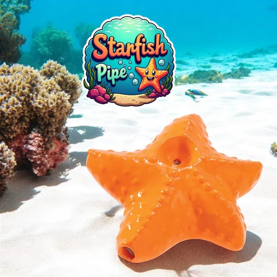 Starfish Pipe - Image 2