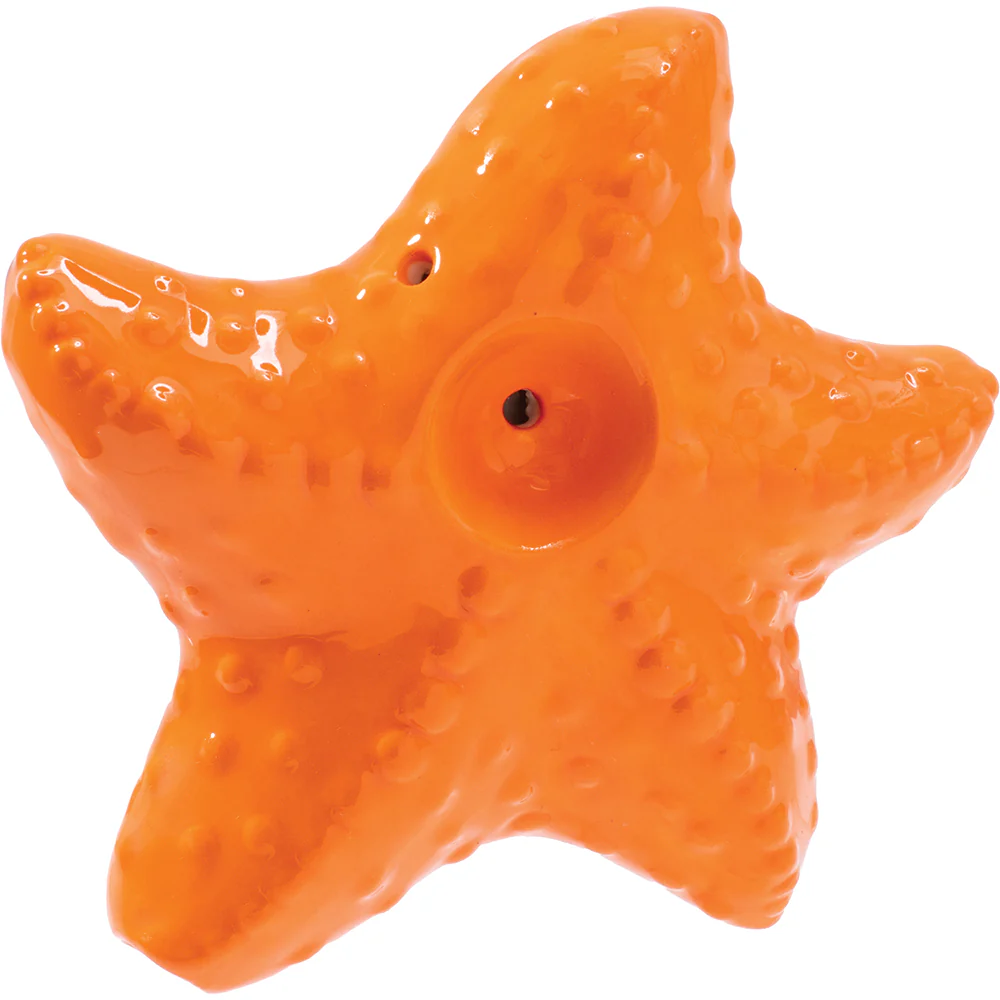 Starfish Pipe - Image 4