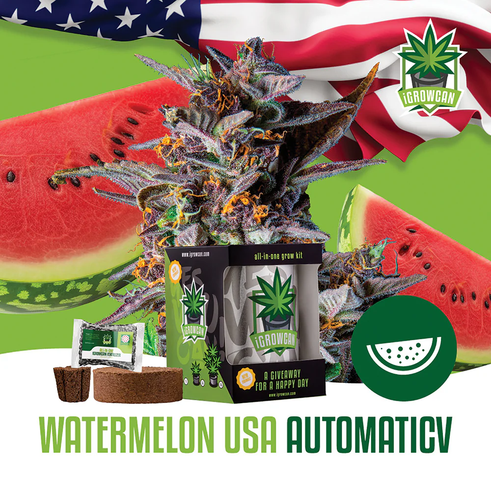 Watermelon Automatic iGrowCan - All in One Grow Kit