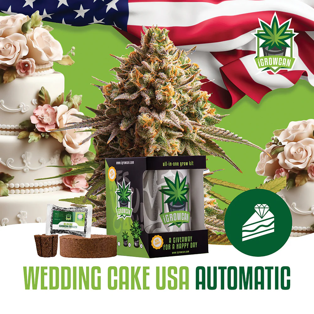 Wedding Cake Automatic iGrowCan - All in One Grow Kit