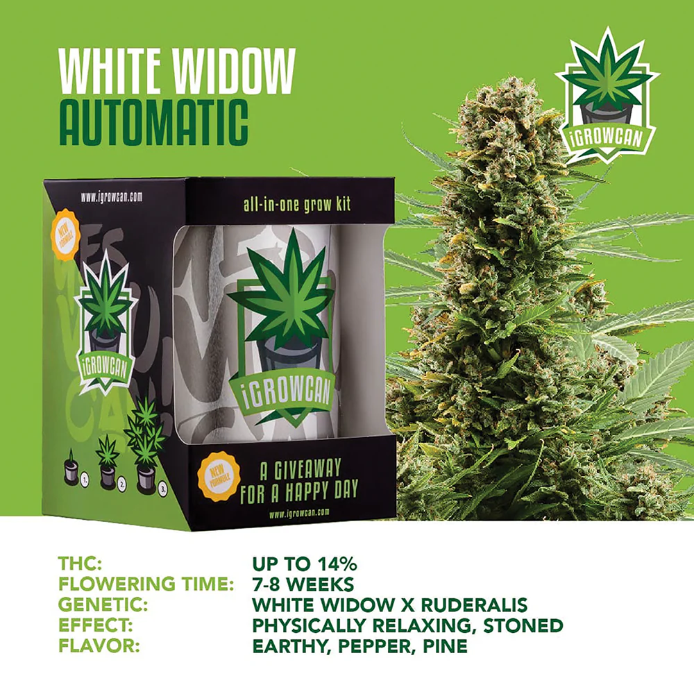 White Widow Automatic iGrowCan - All in One Grow Kit - Image 3